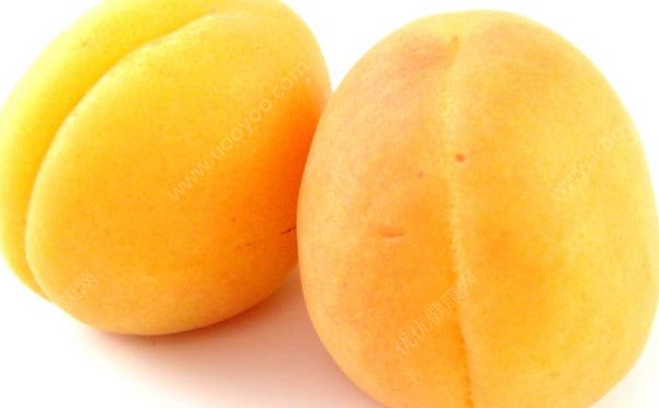 杏子酒的做法是怎样？杏子酒的功效与作用(4)