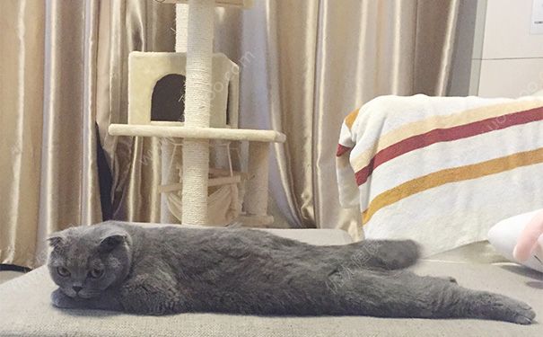 夏季嘴唇干裂怎么办？夏季嘴唇干裂脱皮怎么办？(2)