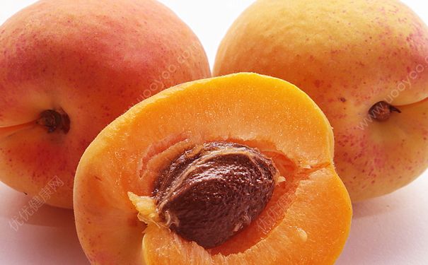 杏子酒的做法是怎样？杏子酒的功效与作用(3)