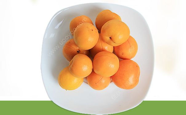 新鲜杏子怎么吃？杏子怎么做好吃？(2)