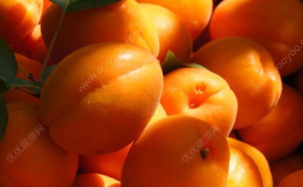 杏子要剥皮吗？杏子的皮可以吃吗？(3)