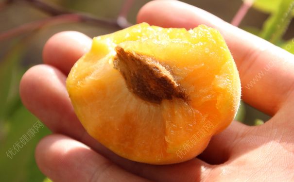 杏子太酸怎么办？杏子怎么吃才不酸？(4)