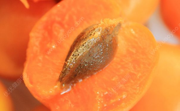 杏子核怎么吃？杏子核吞了怎么办？[多图]