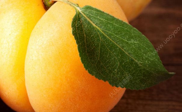 杏子要剥皮吗？杏子的皮可以吃吗？(4)