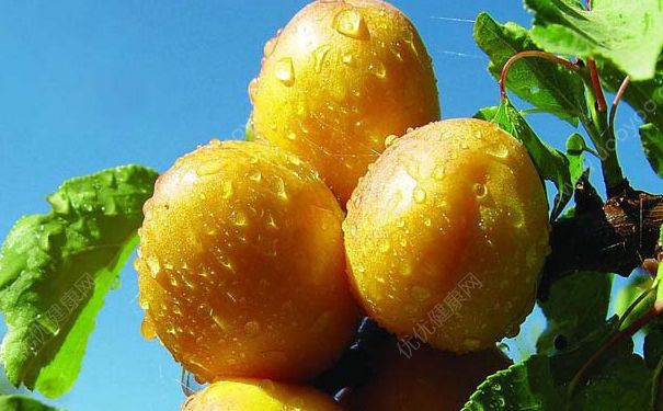 杏子太酸怎么办？杏子怎么吃才不酸？[多图]