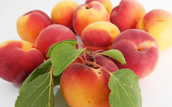 杏子要剥皮吗？杏子的皮可以吃吗？[多图]