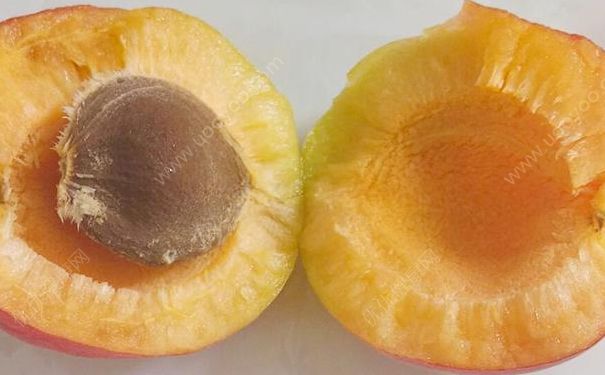 杏子核怎么吃？杏子核吞了怎么办？(2)