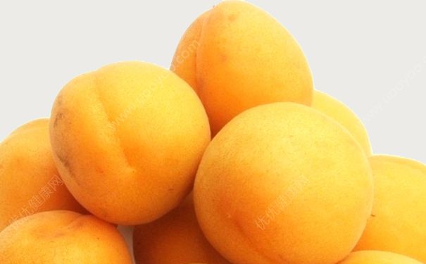 杏子可以榨汁吗？杏子和什么一起榨汁好？[多图]