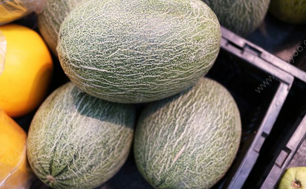 哈密瓜没熟能吃吗？哈密瓜没熟怎么办？[多图]