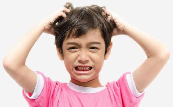 天热头上长红疙瘩怎么回事？天热头上长疙瘩怎么办？(1)