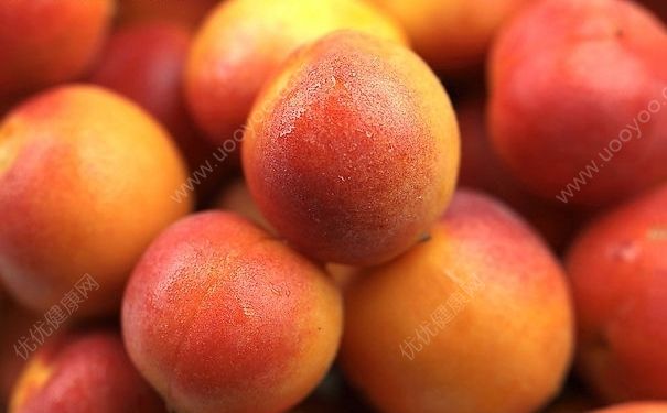 杏子能和鸡肉一起吃吗？杏子和鸡肉一起吃好吗？[多图]