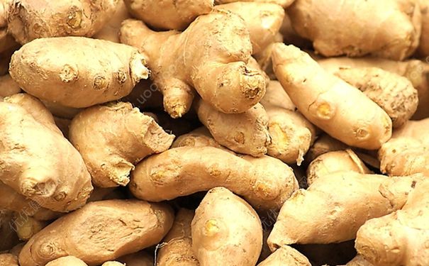 吃生姜要注意些什么？生姜的食用禁忌有哪些？[多图]