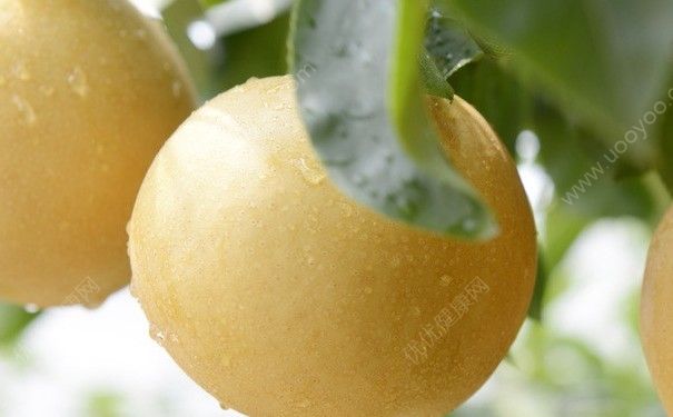 杏和梨能一起吃吗？杏子和雪梨可以一起吃吗？(4)