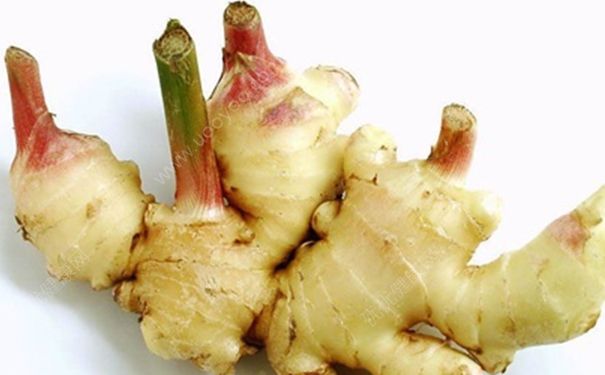 生姜发芽了能吃吗？发芽的生姜可以吃吗？(2)