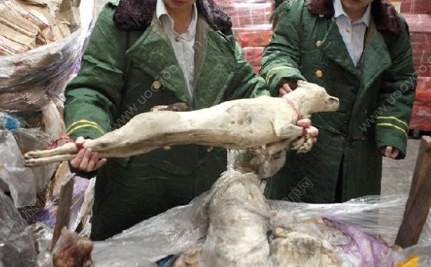 吃僵尸肉有什么危害？僵尸肉怎么分辨？(4)