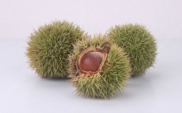 板栗属于碱性还是酸性？板栗属于碱性食物吗？(3)