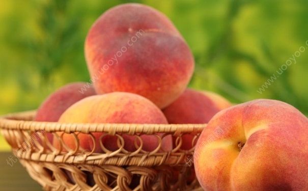 夏天吃什么水果对皮肤好？夏天吃这5种美容水果(6)