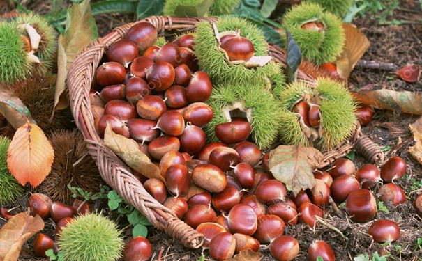 吃板栗会长痘痘吗？长痘能吃板栗吗？(4)