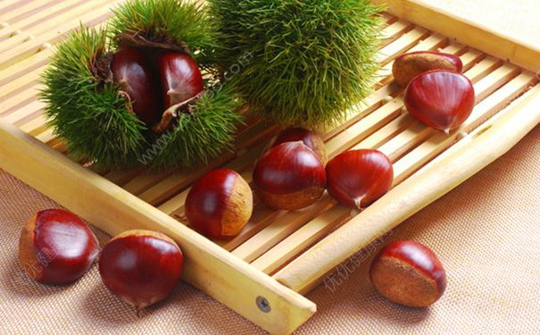 宝宝湿疹能吃板栗吗？儿童湿疹可以吃栗子吗？(2)