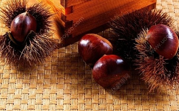 宝宝多大能吃板栗？宝宝七个半月能吃板栗吗？(1)