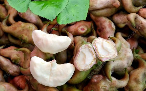怎样剥煮熟的菱角？菱角快速剥壳窍门[多图]