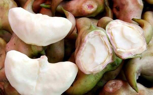 菱角怎么剥壳？生菱角怎么剥壳？(1)