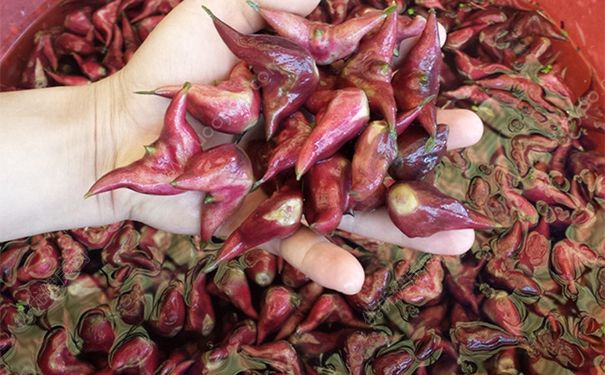 菱角怎么剥壳？生菱角怎么剥壳？(4)