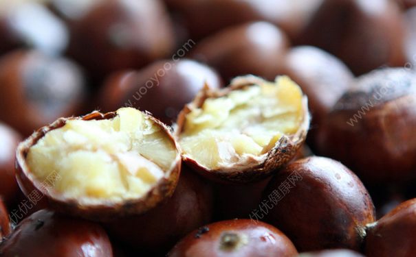 板栗和莲子能一起吃吗？莲子和板栗同食好吗？[多图]