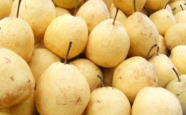 梨子里面变色能吃吗？梨子里面发黑了能吃吗？[多图]