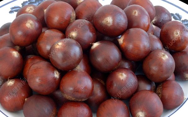 板栗和牛肉能一起吃吗？栗子和牛肉一起吃好吗？[多图]