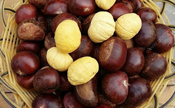 板栗和豆浆能一起吃吗？栗子和豆浆一起吃好吗？[多图]