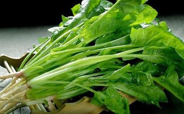 孕妇不能吃什么？孕妇忌食大全(4)