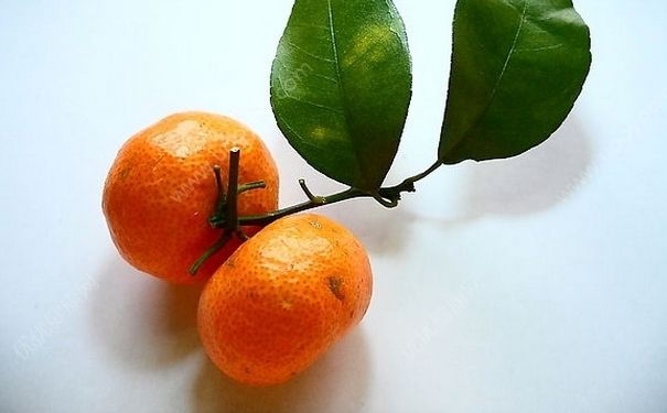 橘子和海鲜能一起吃吗？橘子和海鲜一起吃好吗？(4)