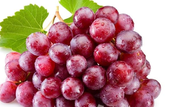 来月经可以吃葡萄吗？来月经能吃葡萄吗？(5)