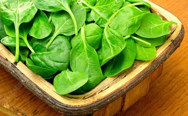 蔬菜汁怎么做给宝宝吃？怎么做蔬菜汁给宝宝吃？(2)