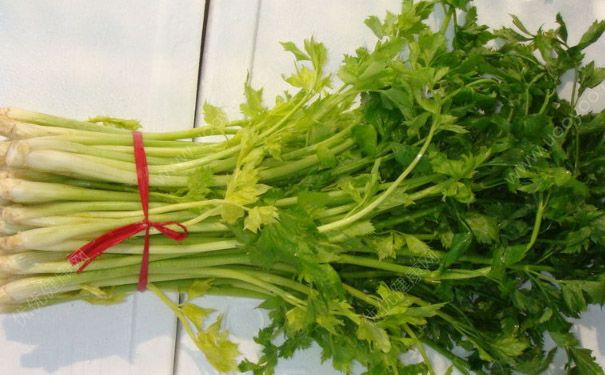 苹果和芹菜能一起榨汁和吗？苹果和芹菜怎么榨汁好喝？(5)