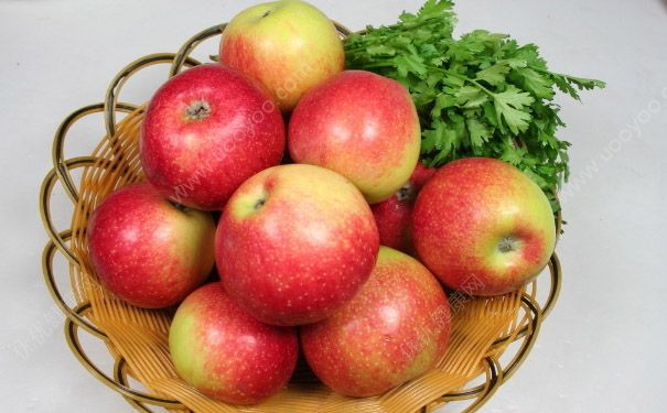 苹果和桃子哪个热量高？苹果和桃子的热量高吗？(3)
