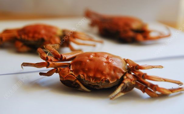 吃螃蟹会流产吗？怀孕多久吃螃蟹会流产？(2)