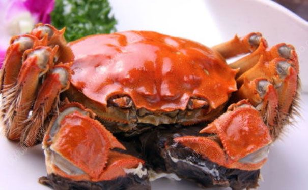 吃螃蟹对怀孕有影响吗？吃螃蟹会影响受孕吗？(3)