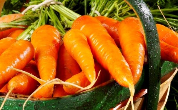 胡萝卜汁能做面膜吗？胡萝卜汁可以做面膜吗？(4)