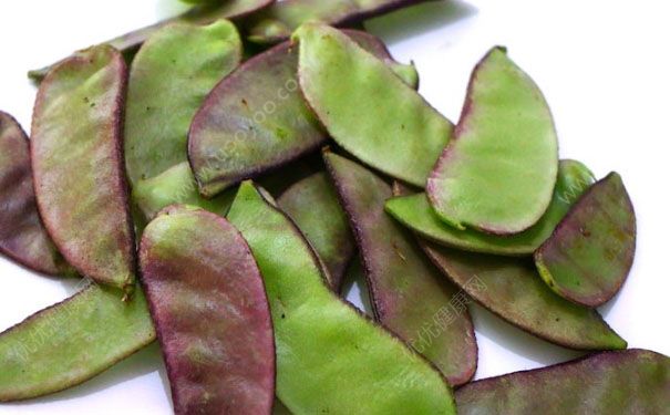 宝宝适合吃什么水果？宝宝适合吃什么水果？(3)