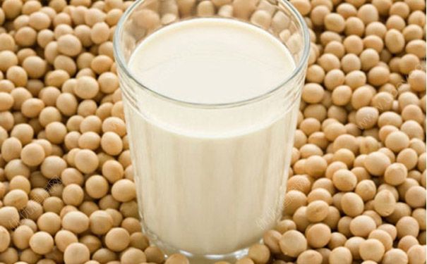 9岁女孩能和豆浆吗？9岁女孩和豆浆好不好？(3)