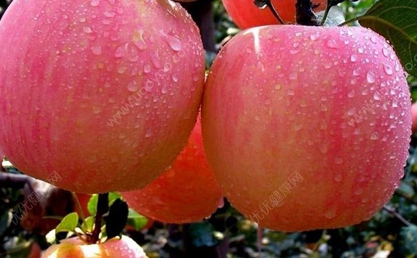 苹果和蜂蜜可以榨汁吗？苹果和蜂蜜榨汁好喝吗？(4)