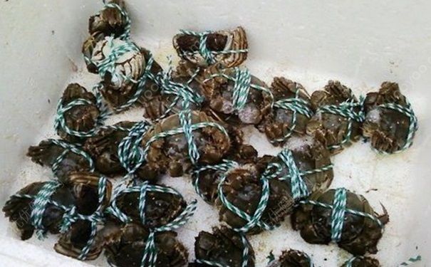 活螃蟹能带上火车吗？火车上能带螃蟹吗？(2)