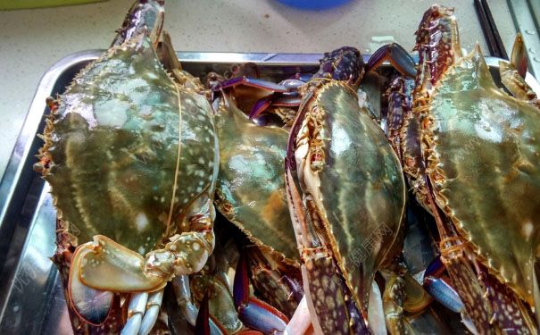 活螃蟹能带上火车吗？火车上能带螃蟹吗？[多图]