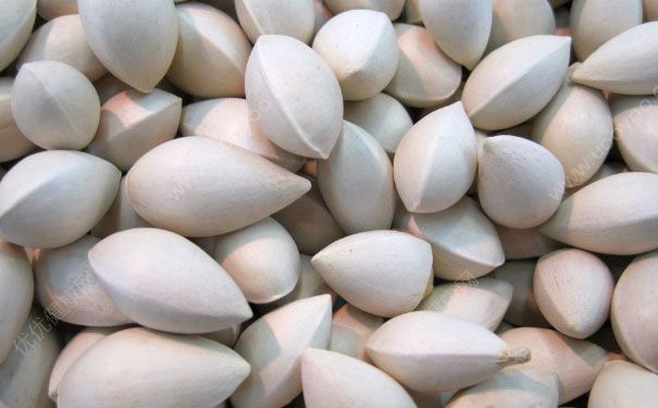 未熟的白果有毒吗？新鲜的白果有毒吗？[多图]