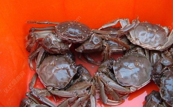 螃蟹是吃什么长大的？螃蟹怎么养不会死？[多图]