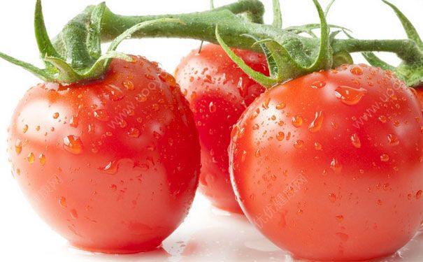 吃西红柿可以减肥吗？西红柿能减肥的原理[图]