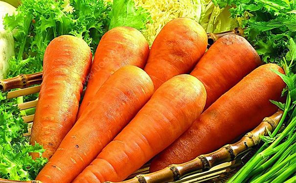 吃中药能吃绿豆吗？吃中药的时候能吃萝卜吗？[图]
