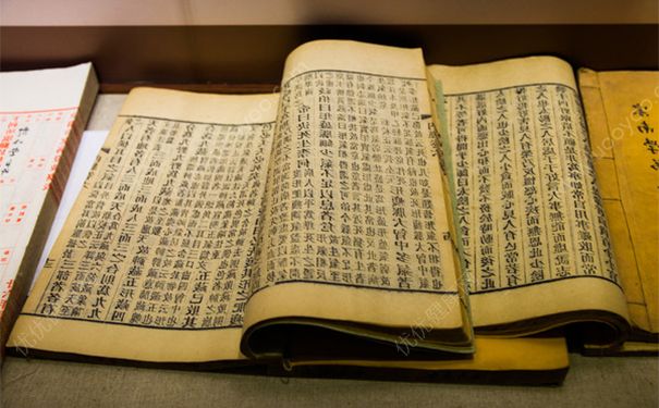 中医的经络是指什么？经络有什么作用？[图]
